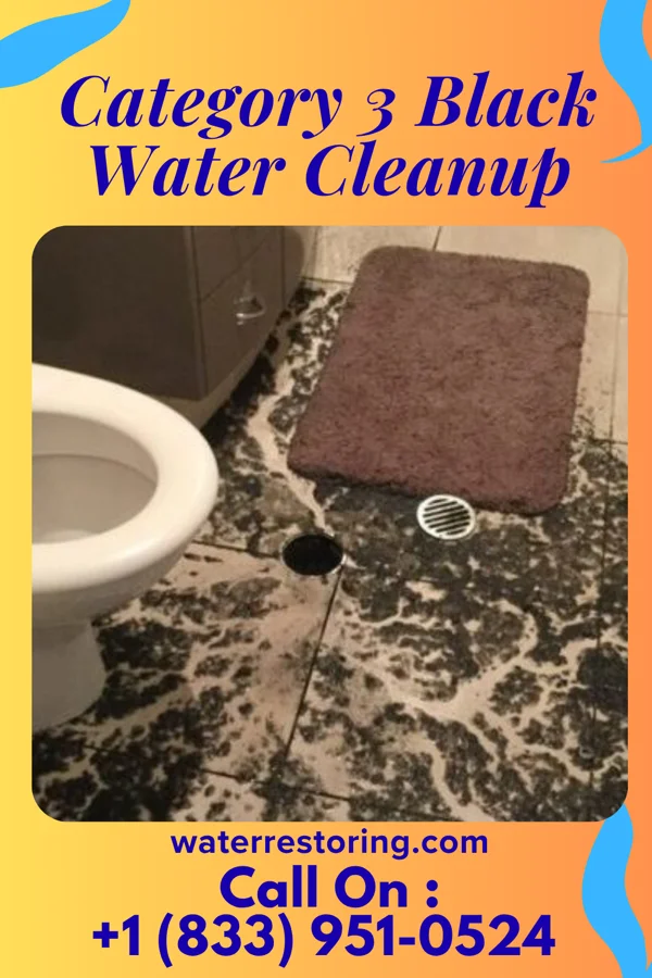 Category 3 Black Water Cleanup in Triana, AL